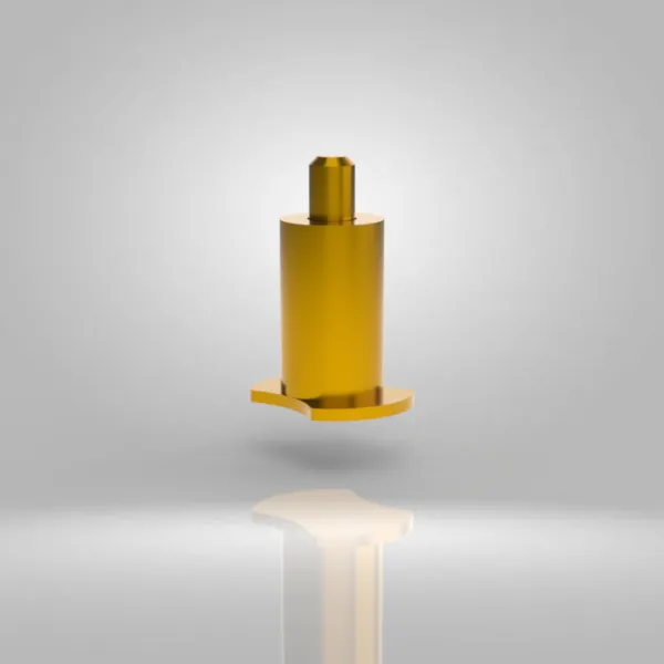 Type G – Plunger Shoot Bolt view 2