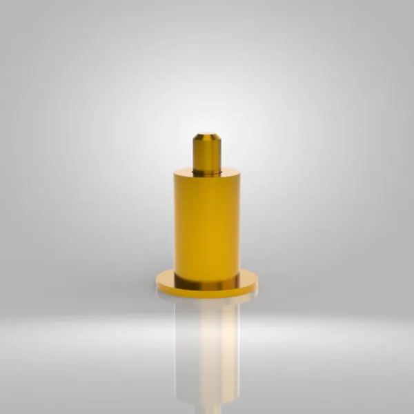 Type L – Plunger Shoot Bolt view 2